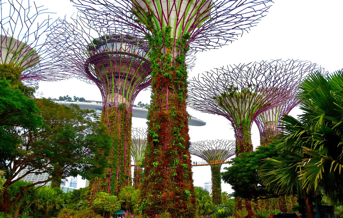 Image of Singapore Gardens